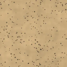 Champagne Cork — Cork Texture Generator