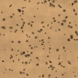 Cork Texture Generator — free seamless texture generator